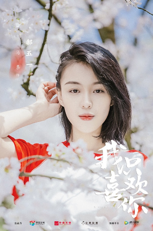 Le Coup De Foudre / I Only Like You China Web Drama